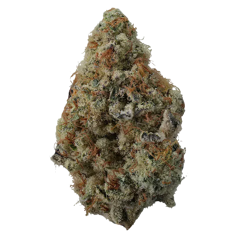 Spritzer - Image 2
