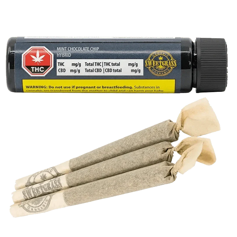 Mint Chocolate Chip PR 3 x 0.5 g
