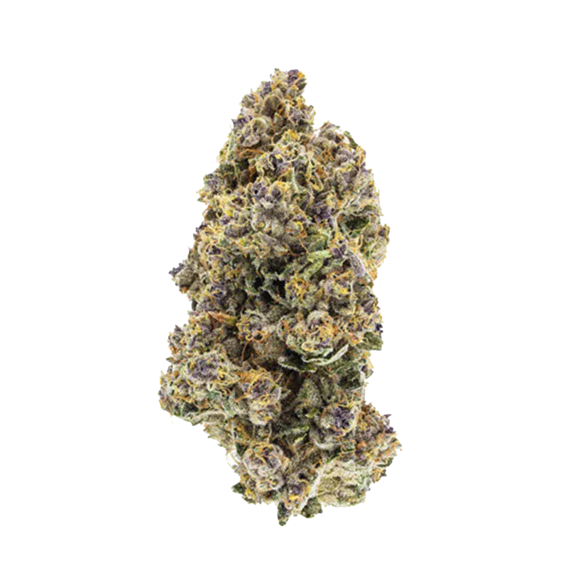 Organic Triangle Queen - Image 2