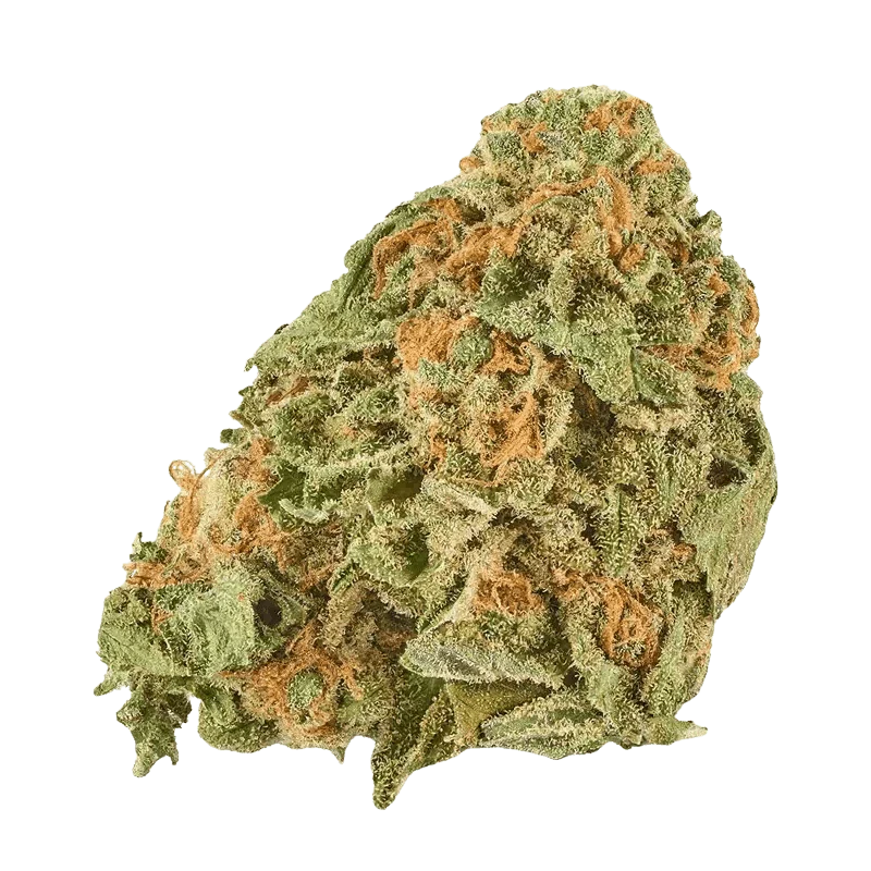 Grand Daddy Purps - Image 2