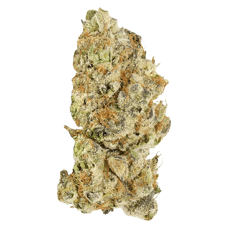 Platinum Pave - Image 2