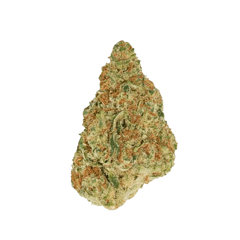 Winter Berry - Image 2