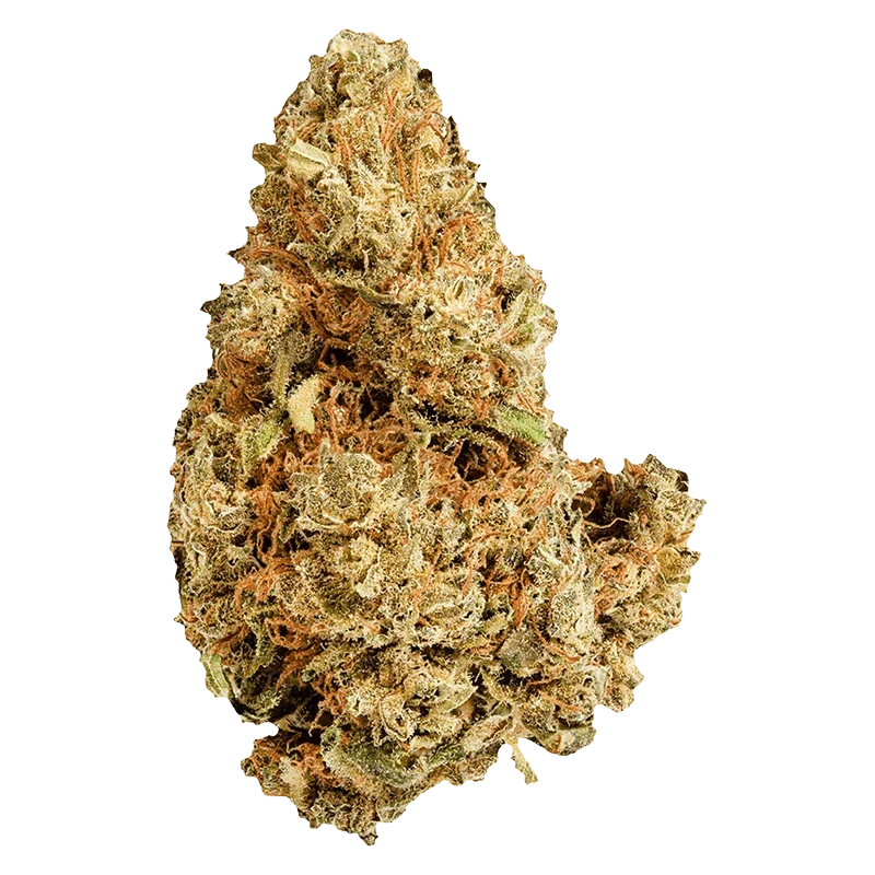 Purple Afghani - Image 2