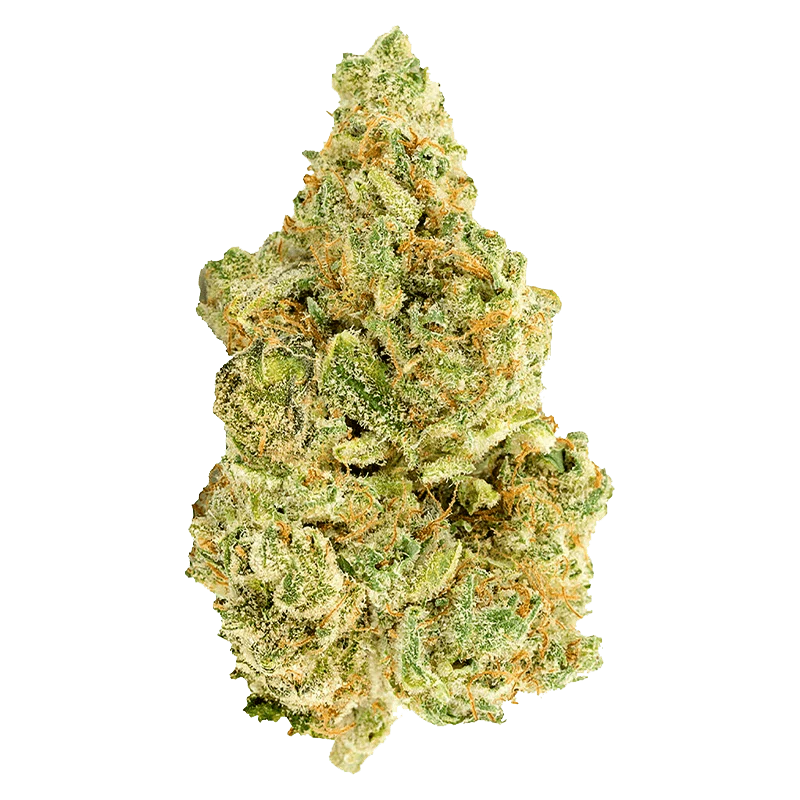 White Widow - Image 2