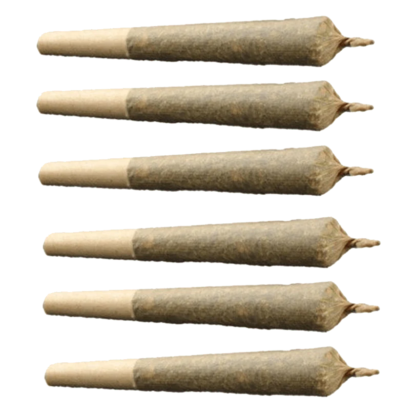 Sativa Candycane PR 6 x 0.5 g - Image 2