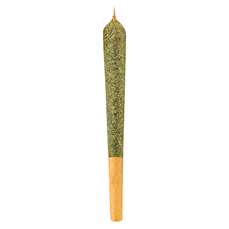 Indica PR 1 x 1 g - Image 2