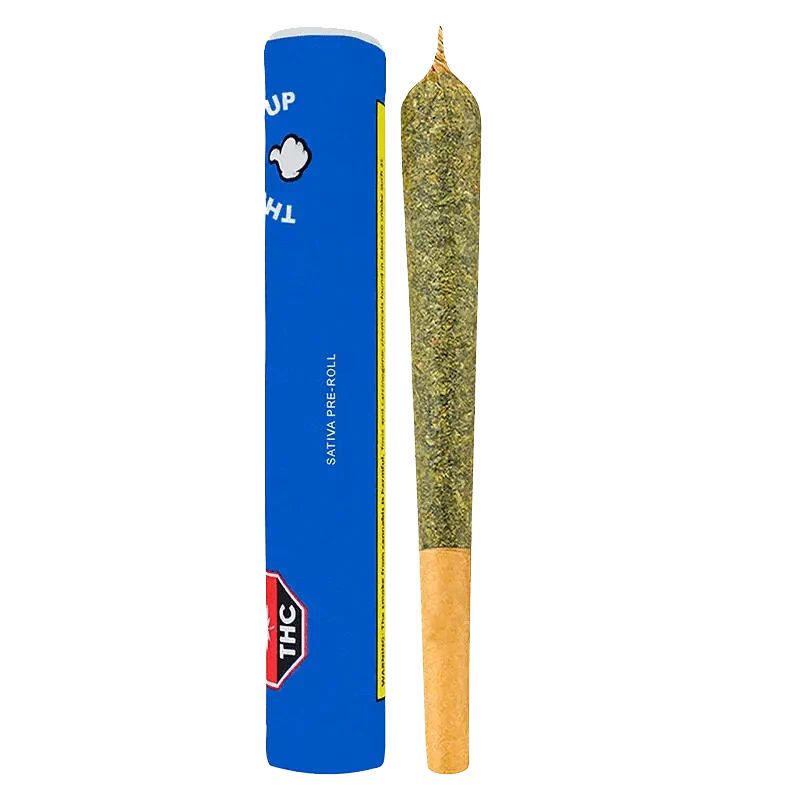 Sativa PR 1 x 1 g