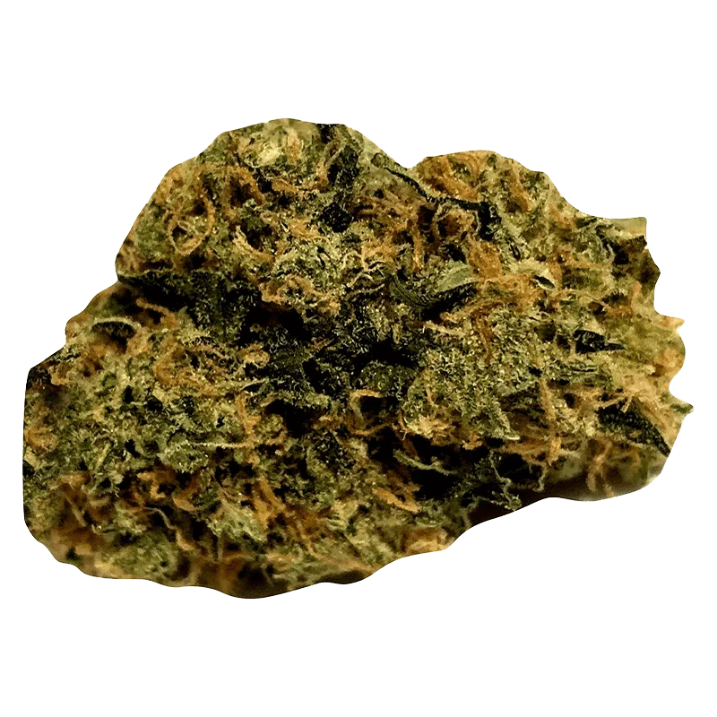 Zone Out - Image 2